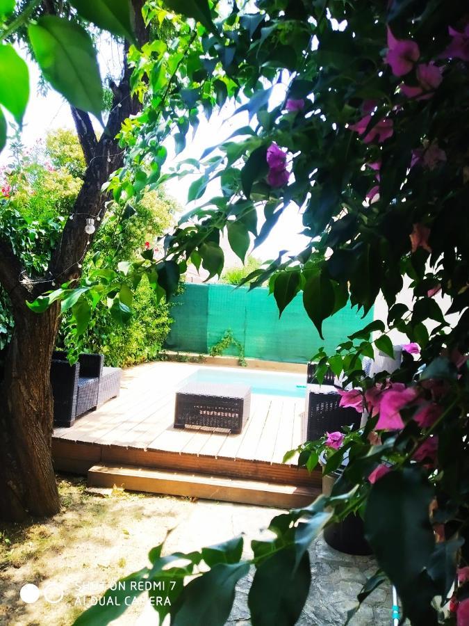 Les Lauriers Roses Daire Narbonne Dış mekan fotoğraf