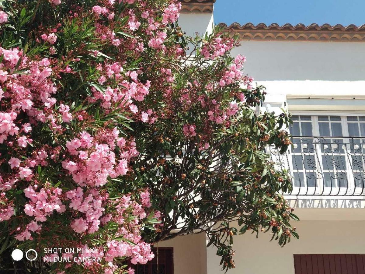 Les Lauriers Roses Daire Narbonne Dış mekan fotoğraf